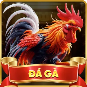 Cược Hòa (BDD)