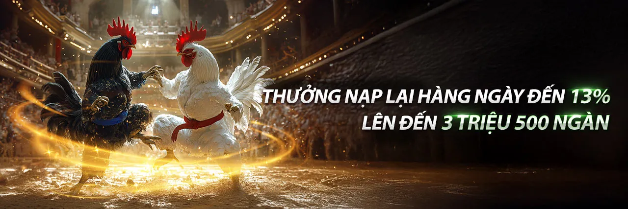 C54 APK Sòng Bạc Trực Tuyến